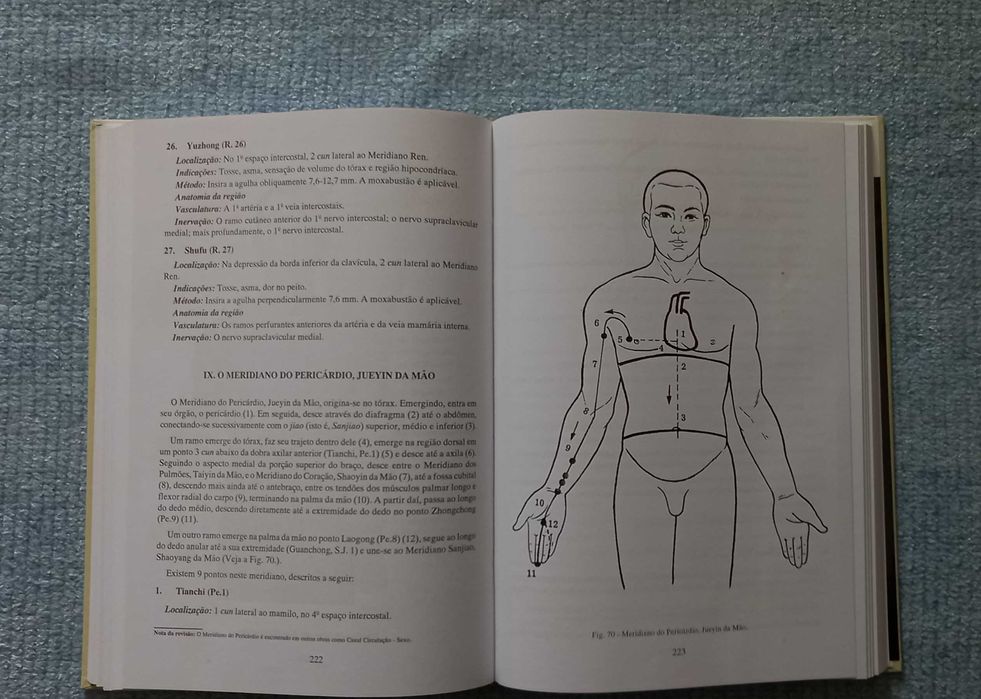 Fundamentos Essenciais da Acupuntura