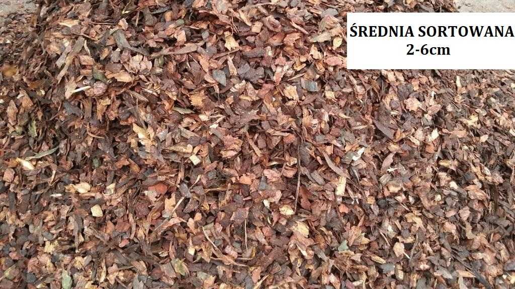 Kora Sosnowa 80L Świdnica Wałbrzych