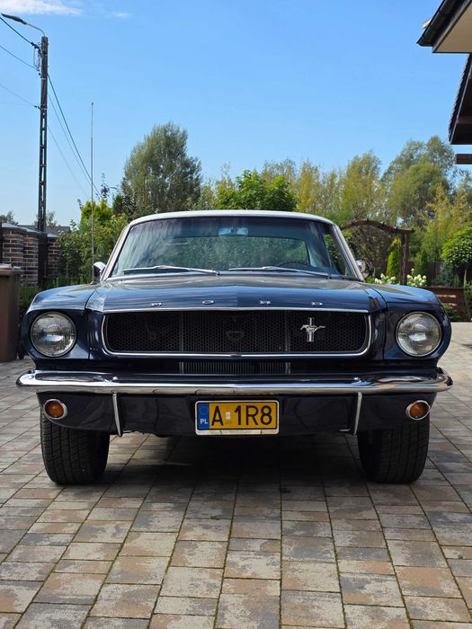 Mustang Coupe 1965 V8 4.7 Caspian Blue