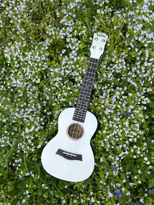 Nauka gry na ukulele, zajęcia umuzykalniające