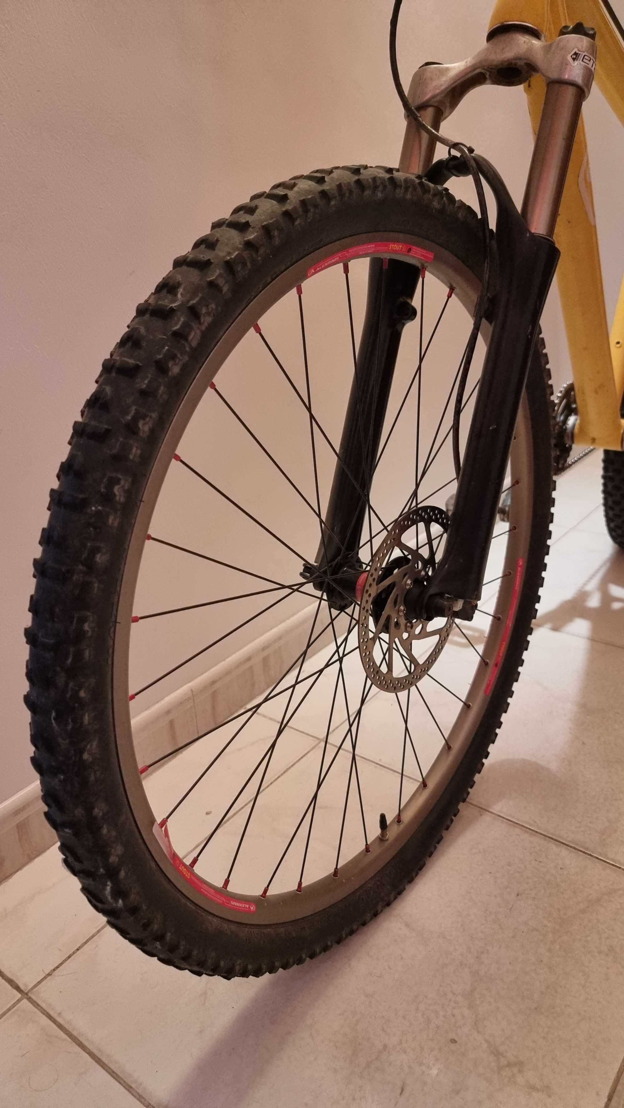 Bicicleta BTT Single Speed