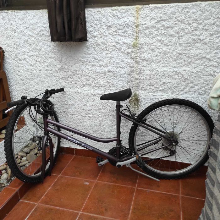 Bicicleta ideal para passeio