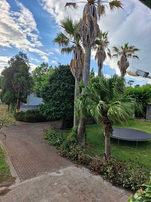 Apartamento T1 numa quinta na periferia de Angra