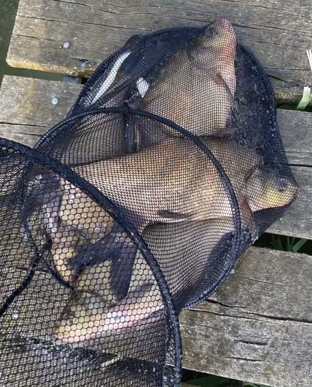 DOMEK NAD JEZIOREM pierwsza linia brzegowa