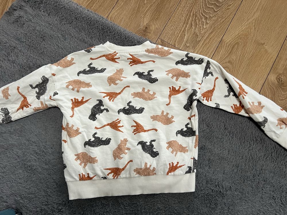 Bluza Sinsay r. 140 dinozaury