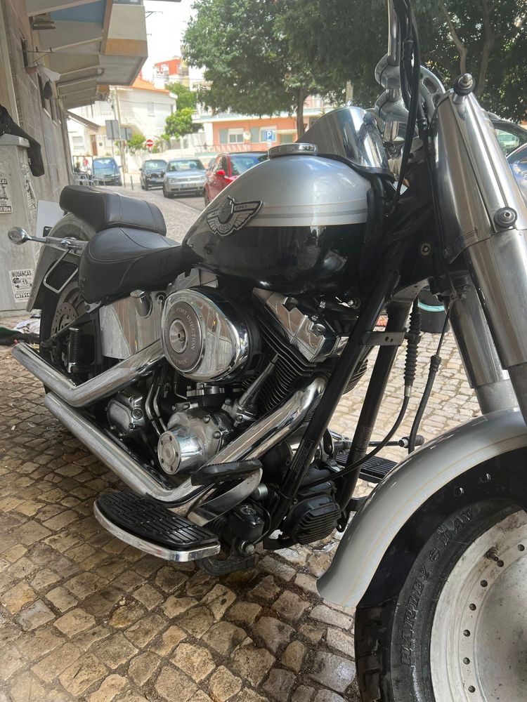 Harley davidson fat boy