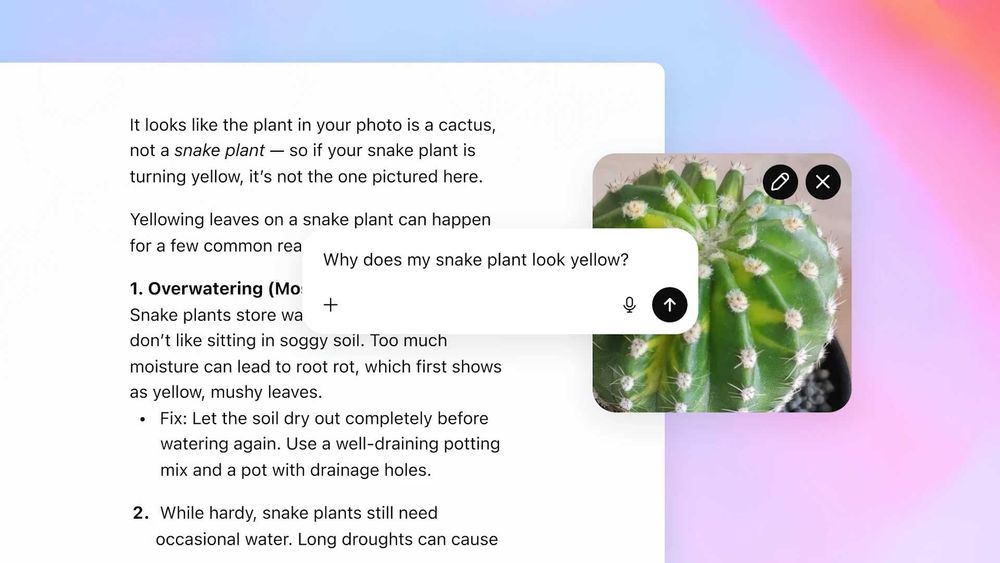 ChatGPT Plus на місяць (GPT-5.1 Thinking, Voice with Camera, DALLE)