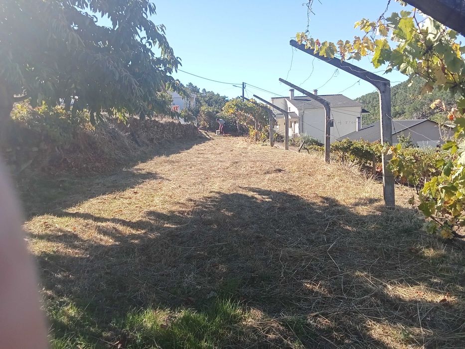 Terreno para cultivo/ outros
