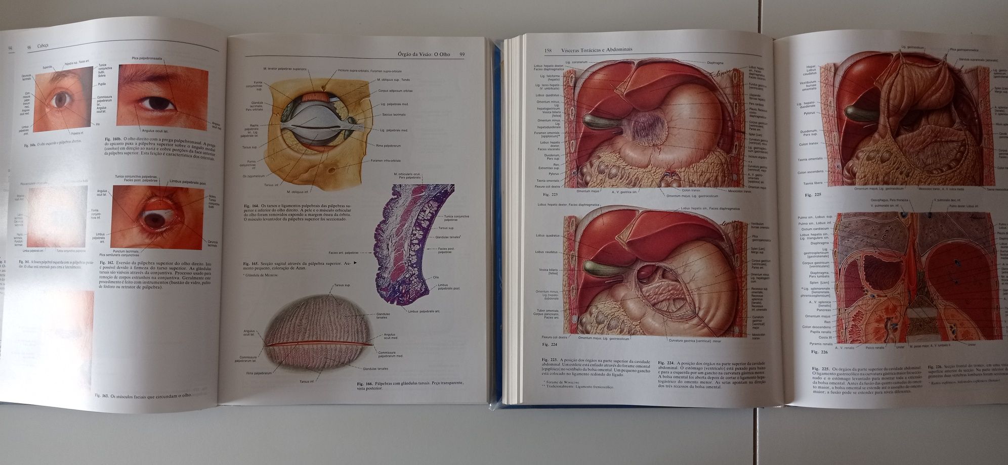 Atlas de anatomia Sobotta