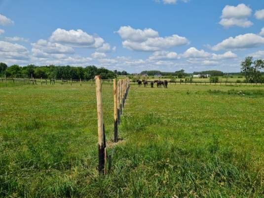Ogrodzenie tymczasowe leśne budowa