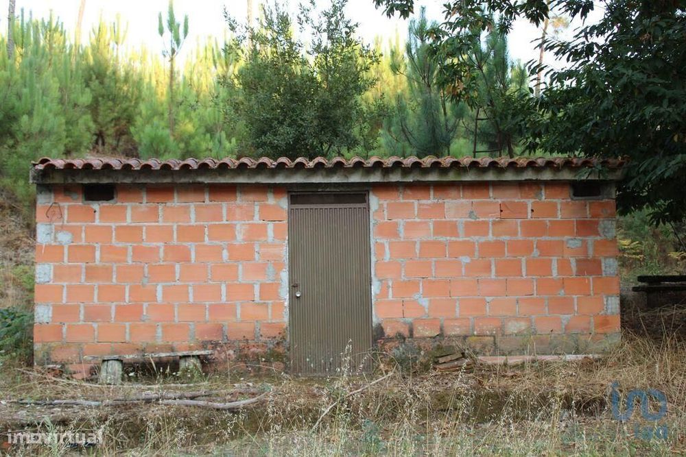 Terreno em Nogueira do Cravo