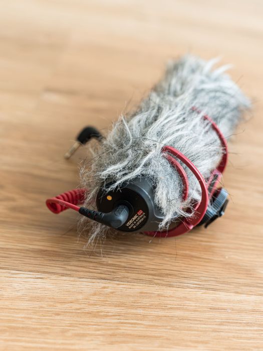 Rode videomic go + deadcat