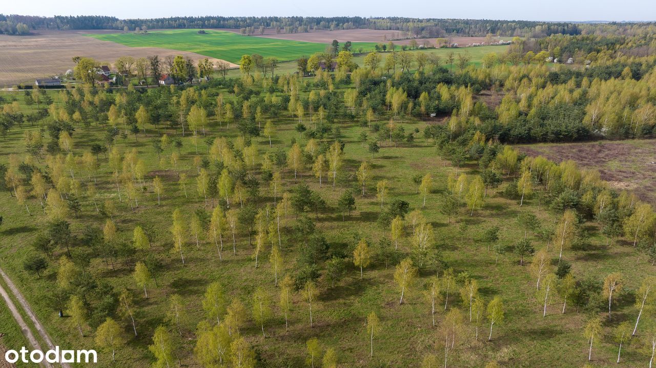 MAZURY Malownicze Działki bud z MPZP przy LESIE nad JEZIOREM_2h z W-wy