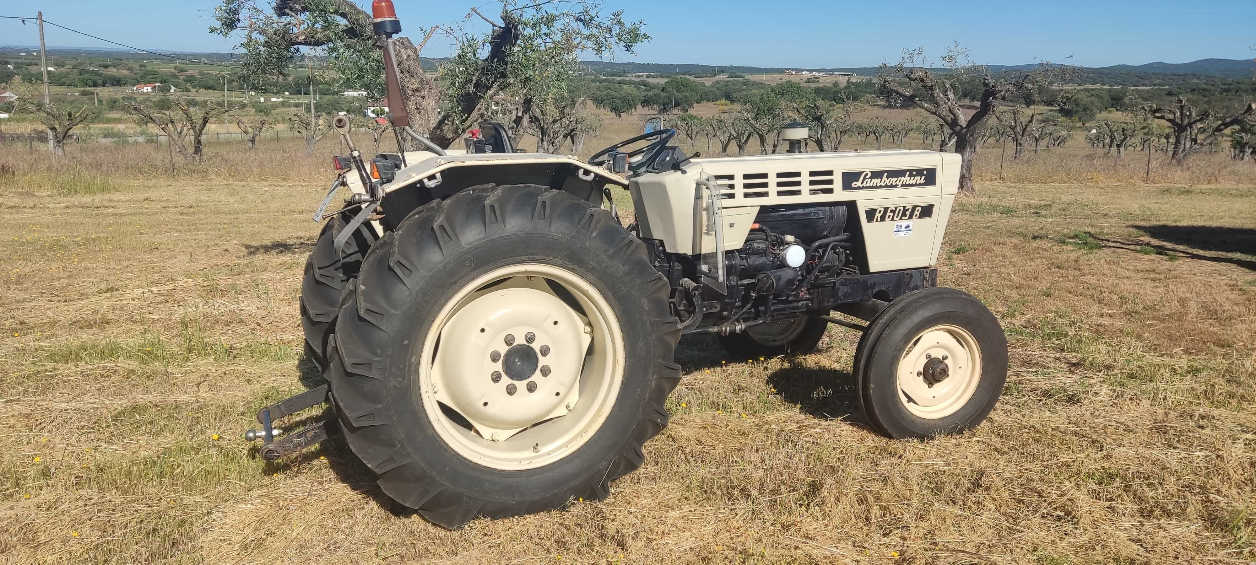 Trator LAMBORGHINI R 603 B com direção hidráulica