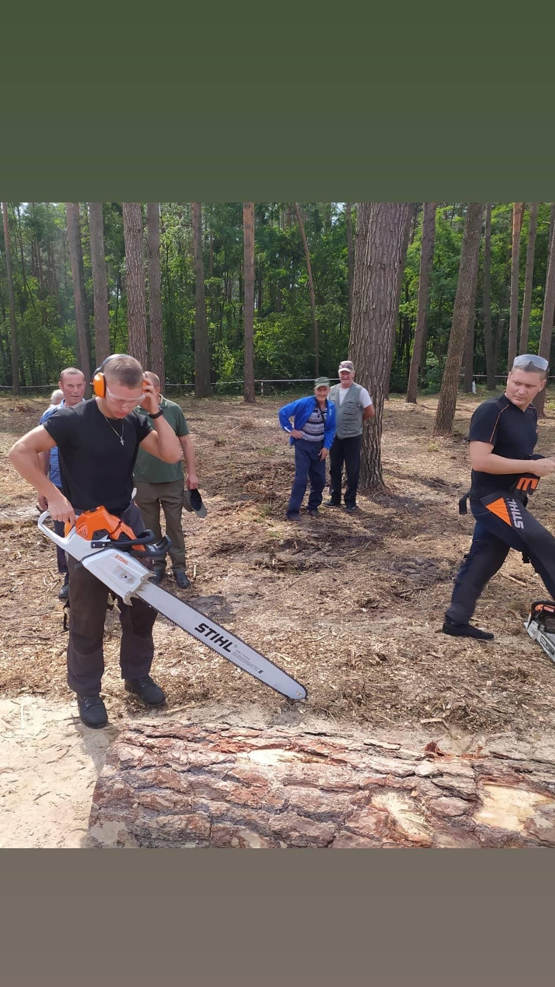 Професійне спилювання проблемних дерев. По Чернігів. Київській області