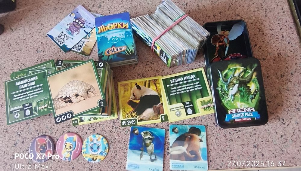 АТБ Арена, Льорки, Звірокуб Сільпо