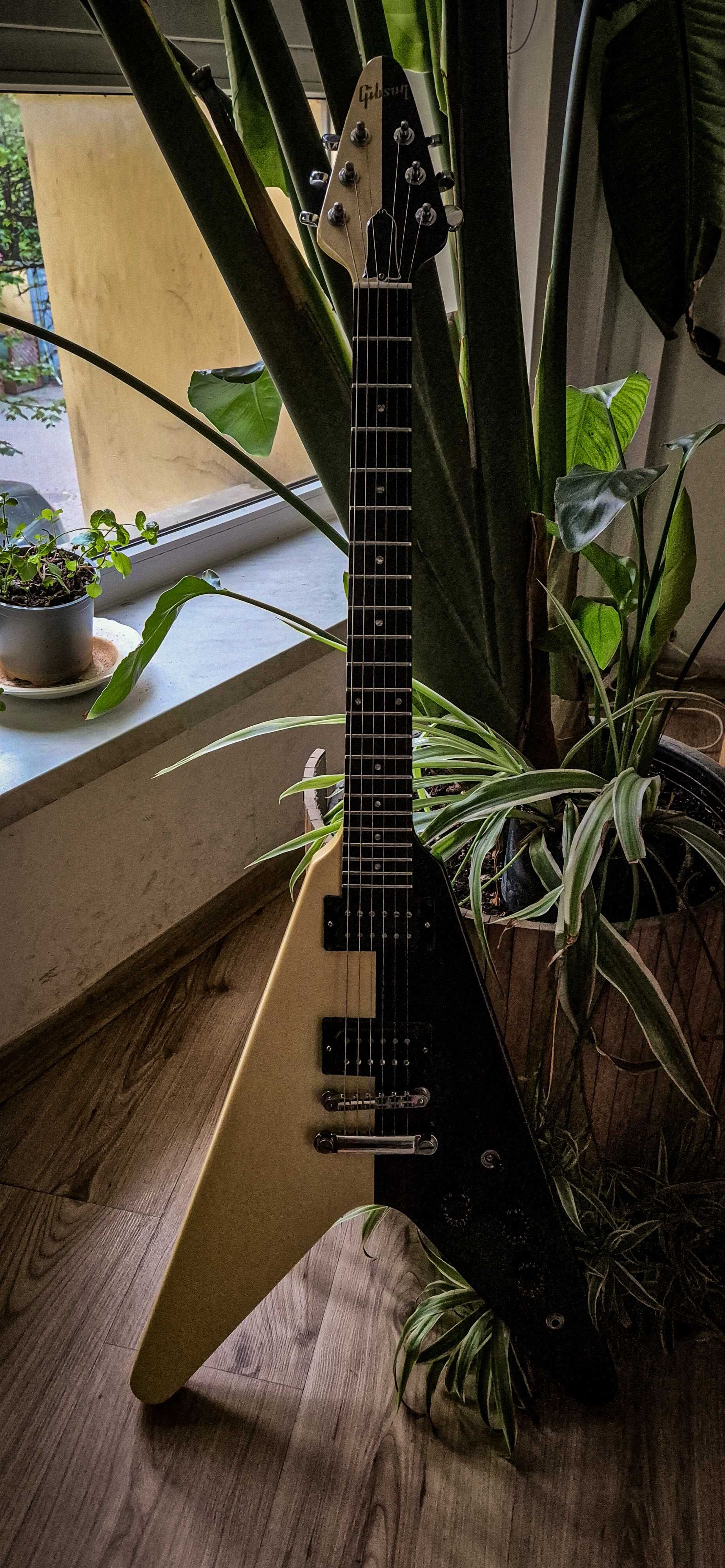 Gibson Flying V 1985 custom edition R Schenket