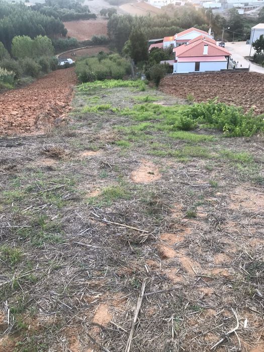 Terreno Lourinhã/Ribeira dos Palheiros