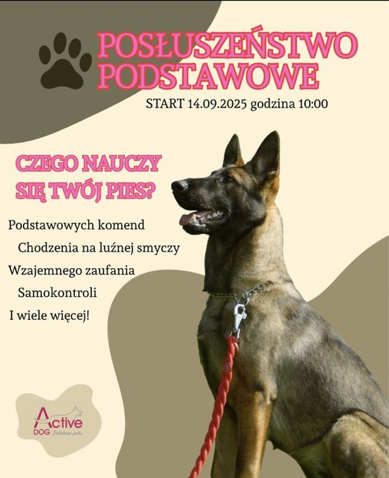 Active Dog- Szkolenie psów HOTEL, GROOMER