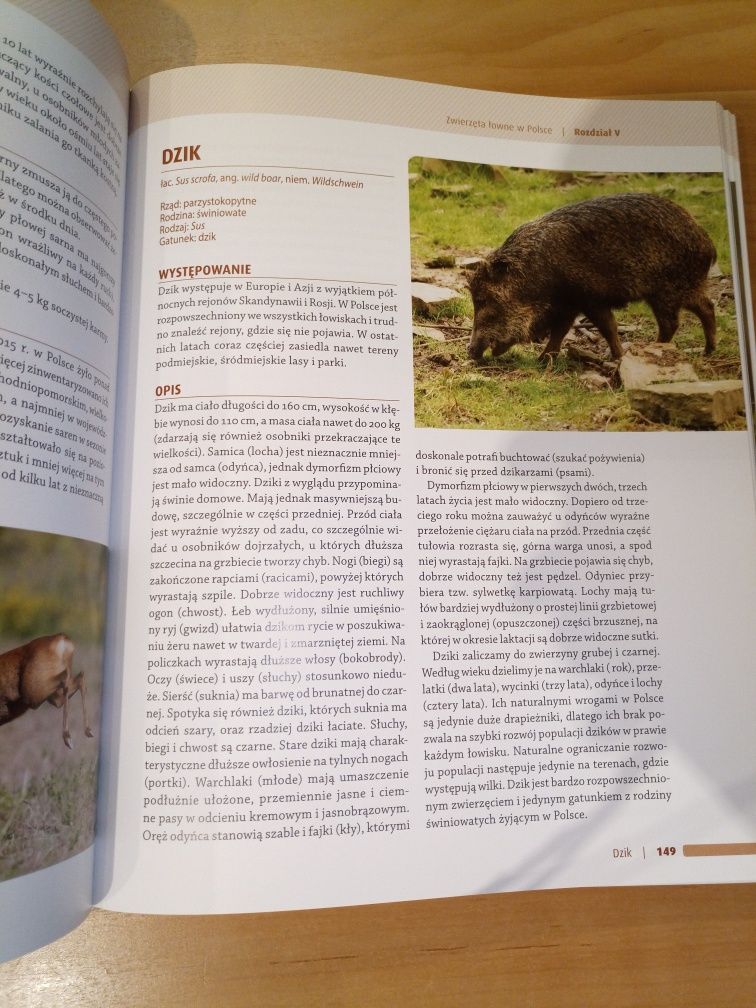 Łowiectwo praca zbiorowa album