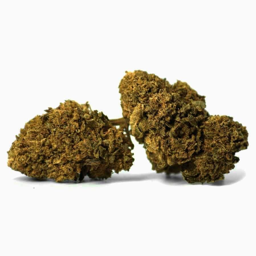 100G Susz BLUEBERRY Haze 49% Susz Konopny CBD MOC 100 GRAM KONOPIE