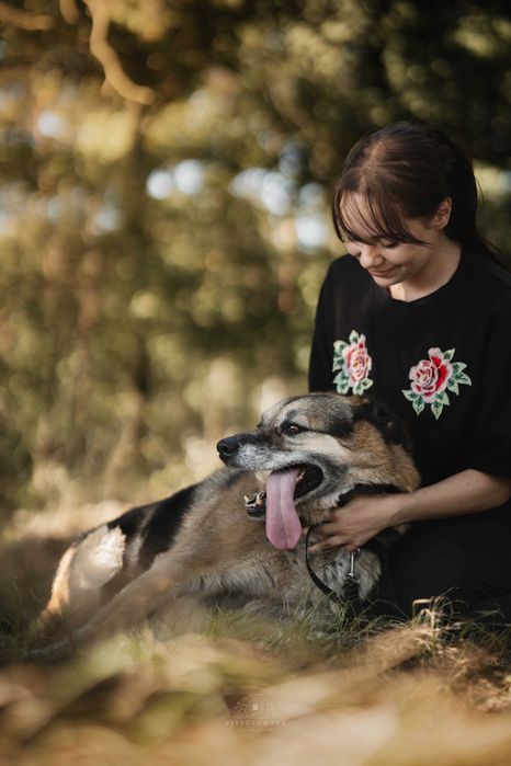 Hagi – rodzinny pies do przytulania, nie do życia za kratami