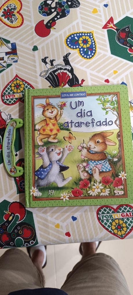 Livro Um dia atarefado