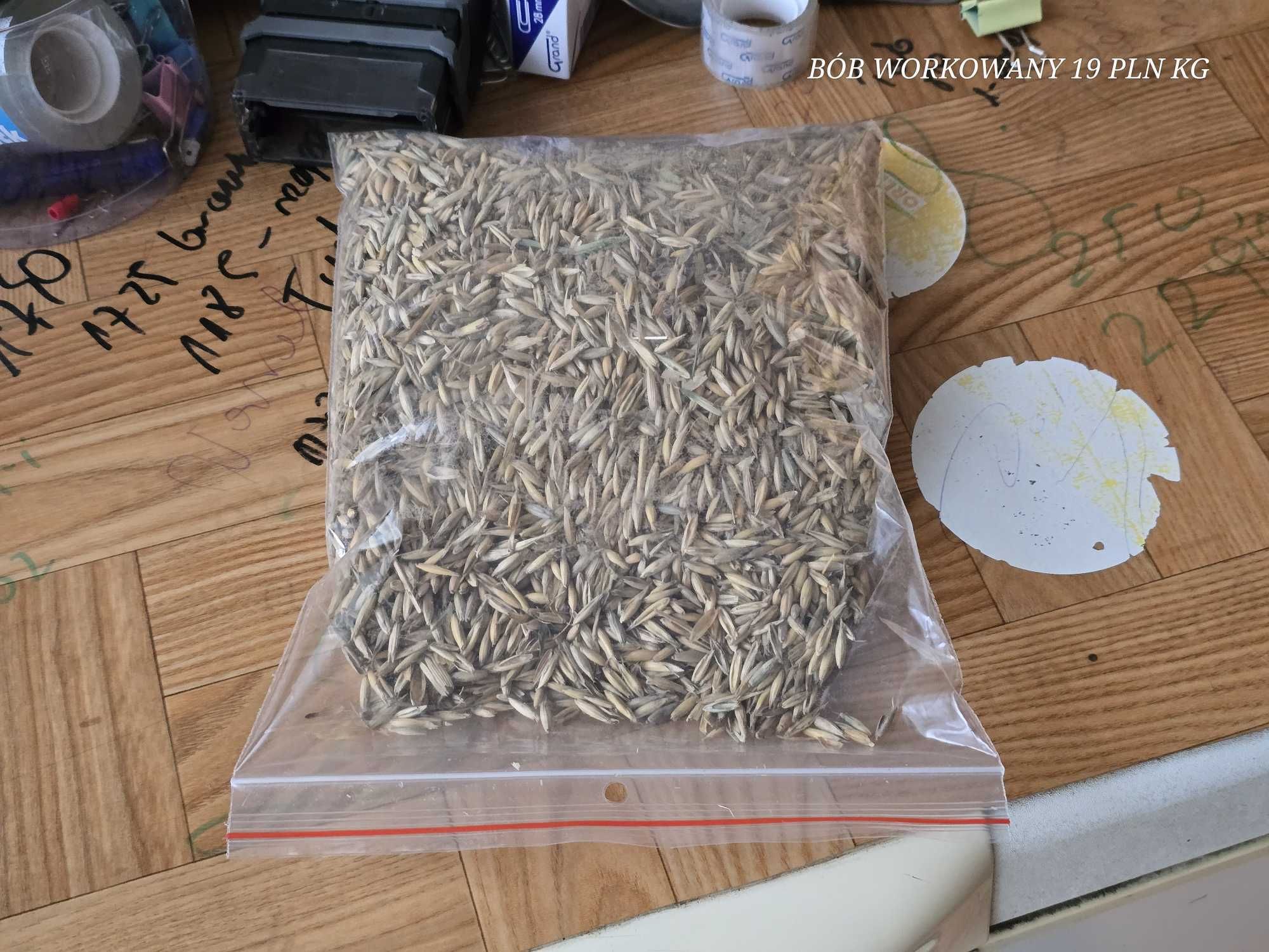 LUCERNA Koniczyna Sorgo Proso Wyka Groch Peluszka Rajgras Trawa Życica