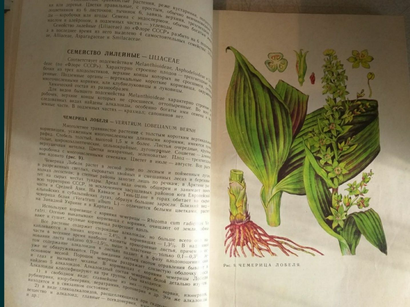 Книга о лекарственных растениях