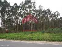 Terrenos rústicos com um total de 17 200m2 localizado em Casais de ...