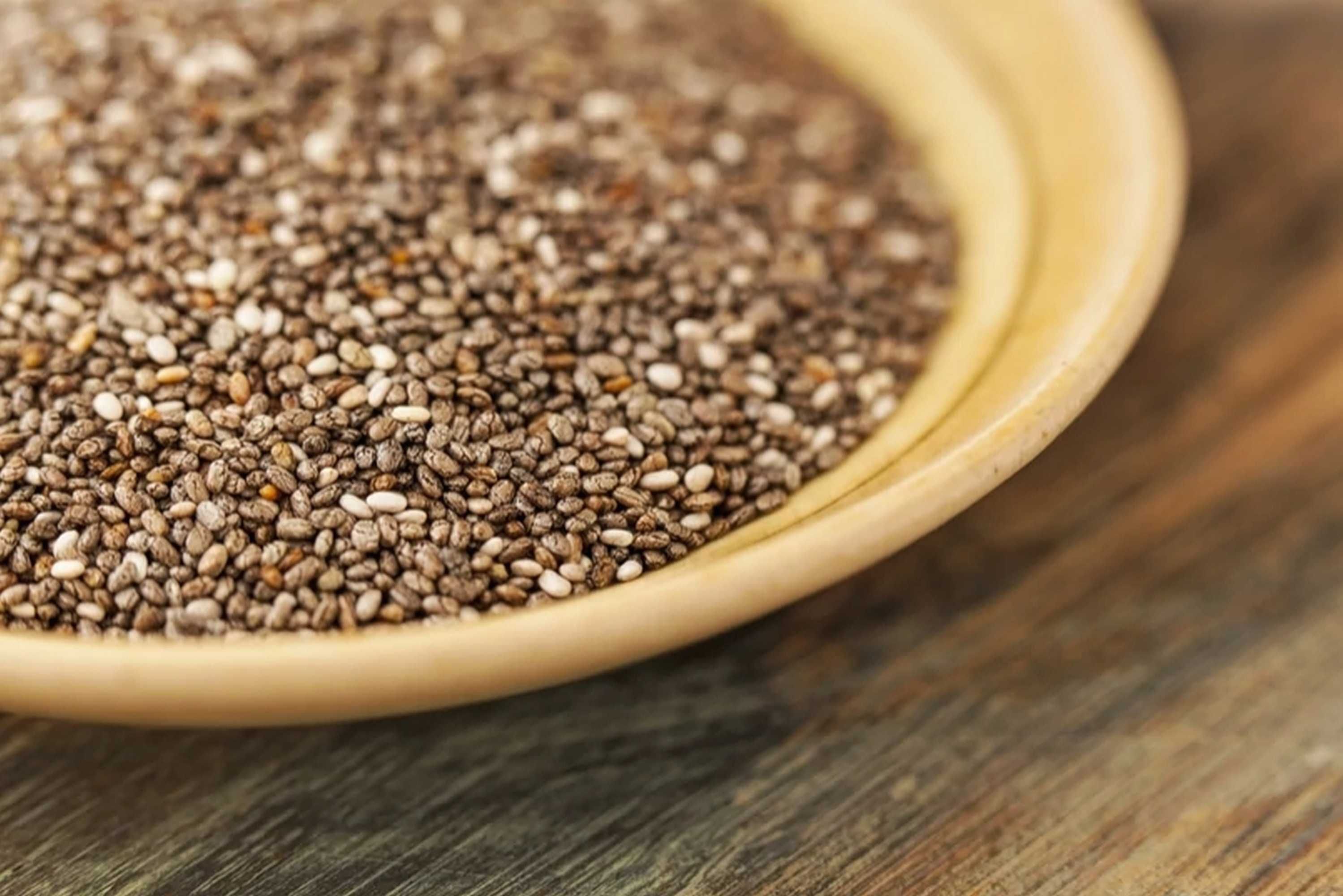 LUCERNA Koniczyna Sorgo Proso Wyka Groch Peluszka Rajgras Trawa Życica