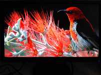 Monitor ciekłokrystaliczny Full HD 1080p który zadziwi Twoje oczy