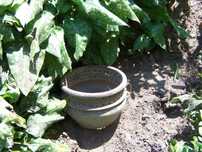 oferta dla Pani Justyny, (donica)