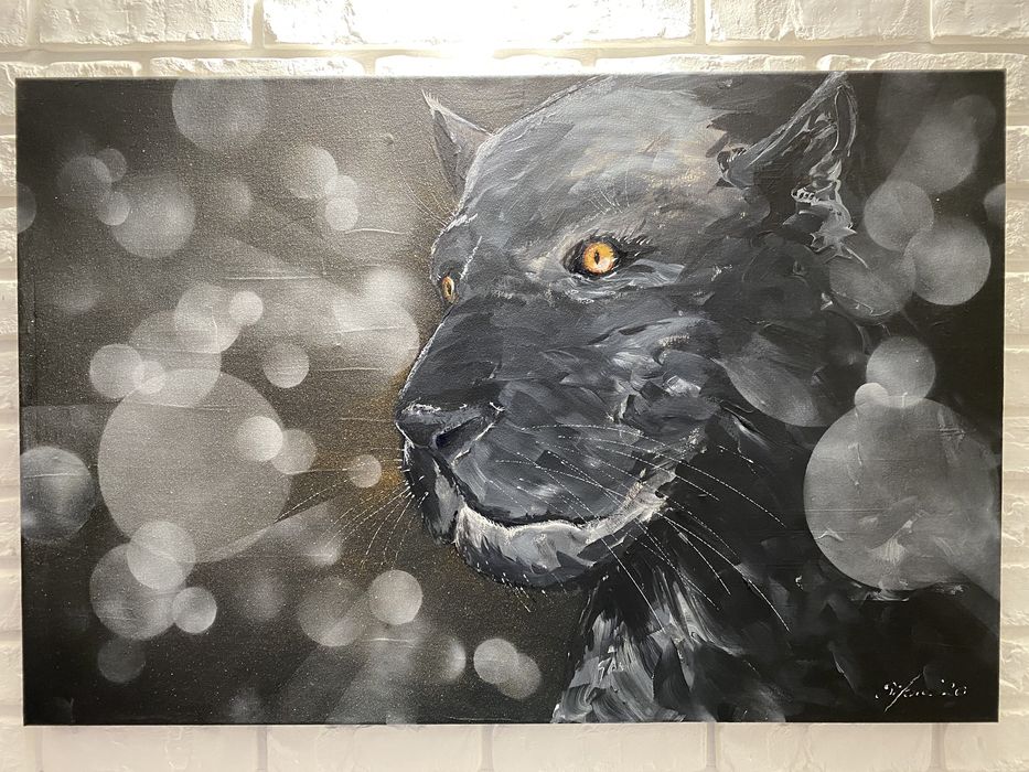 Obraz Akrylowy Kot oryginał