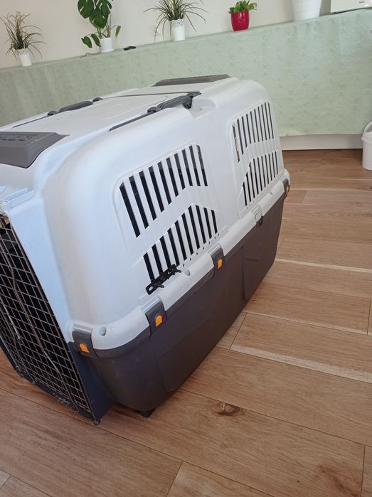 Transporter dla dużych psiaków