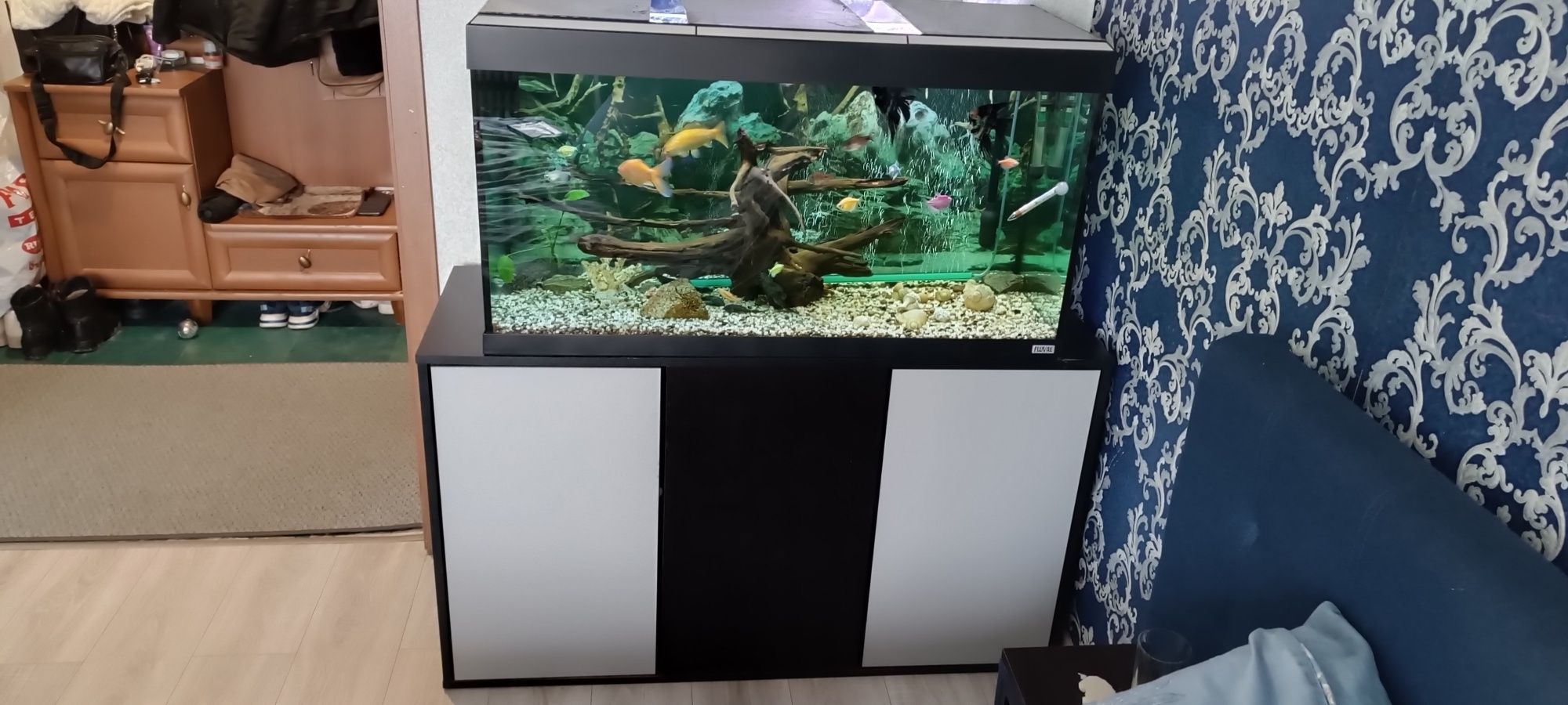 Продам фирменный аквариум в сборе с тумбой 240 литров