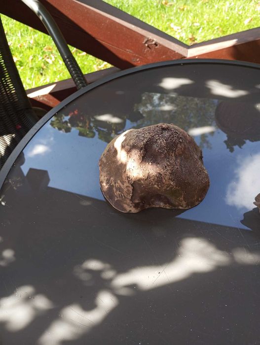 Grota i korzeń do akwarium