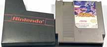 Mega Man Nintendo Nes