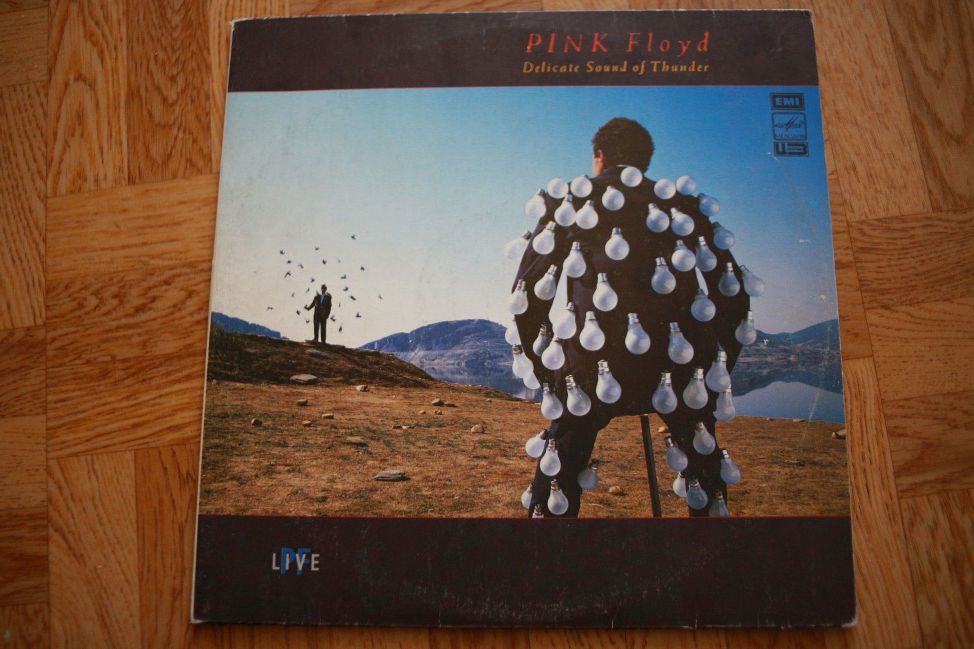 Пластинки Pink Floyd Delicate sound of thunder, Harry Belafonte