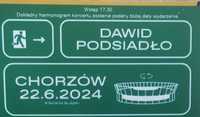 Bilety Dawid Podsiadło 22 czerwca 2024