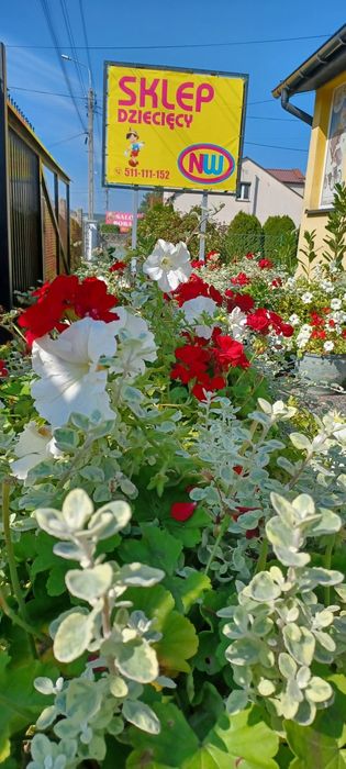 Avionaut pixel baza ISOFIX KOMIS NW