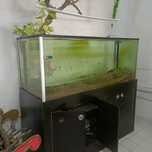 Aquario completo 170x70x70