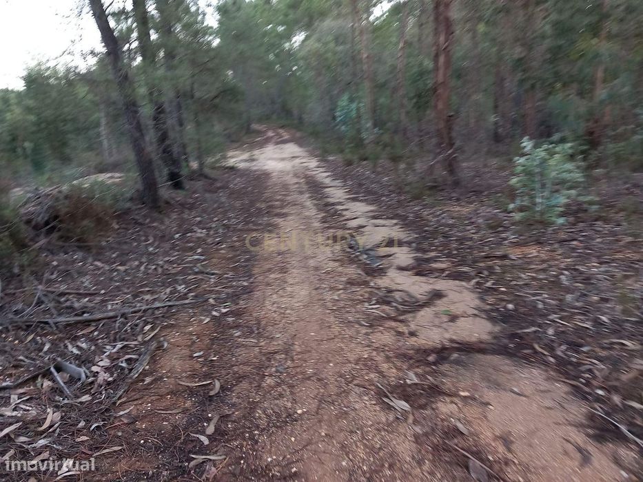 Terreno Rustico Vale Chiqueiro