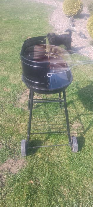 Grill węglowy polecam