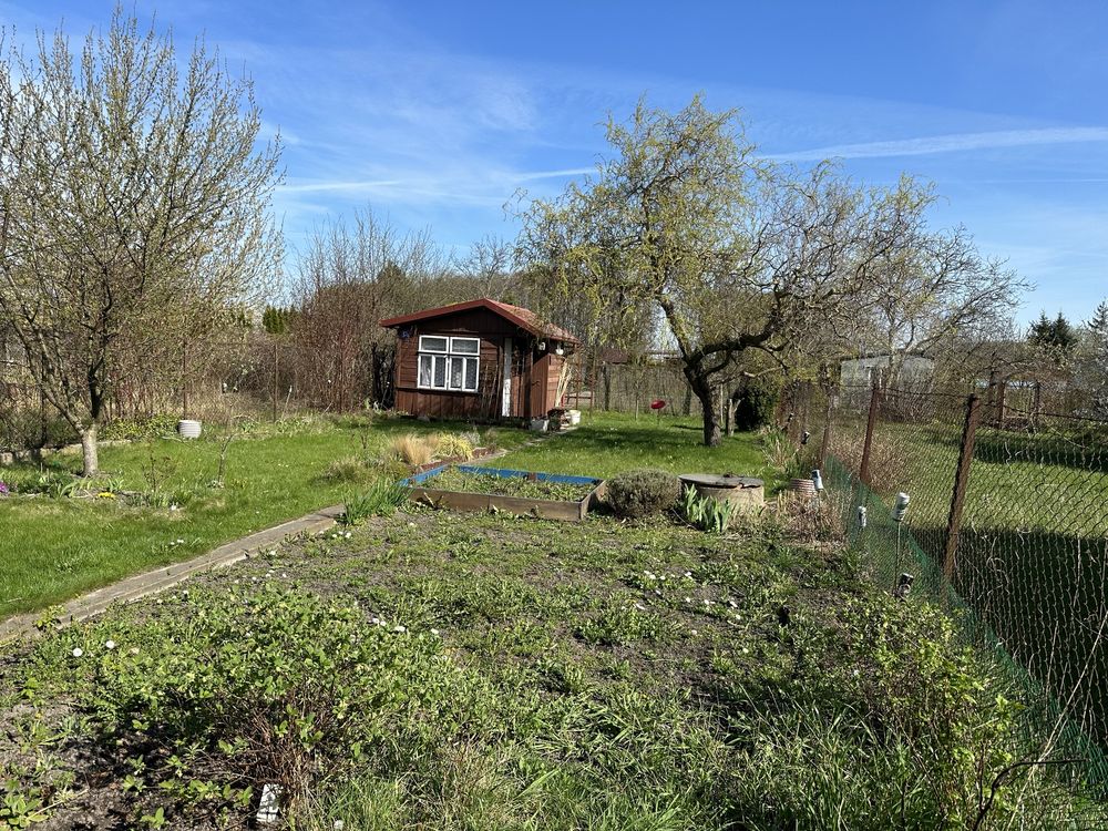 Działka RODOS w Przasnyszu