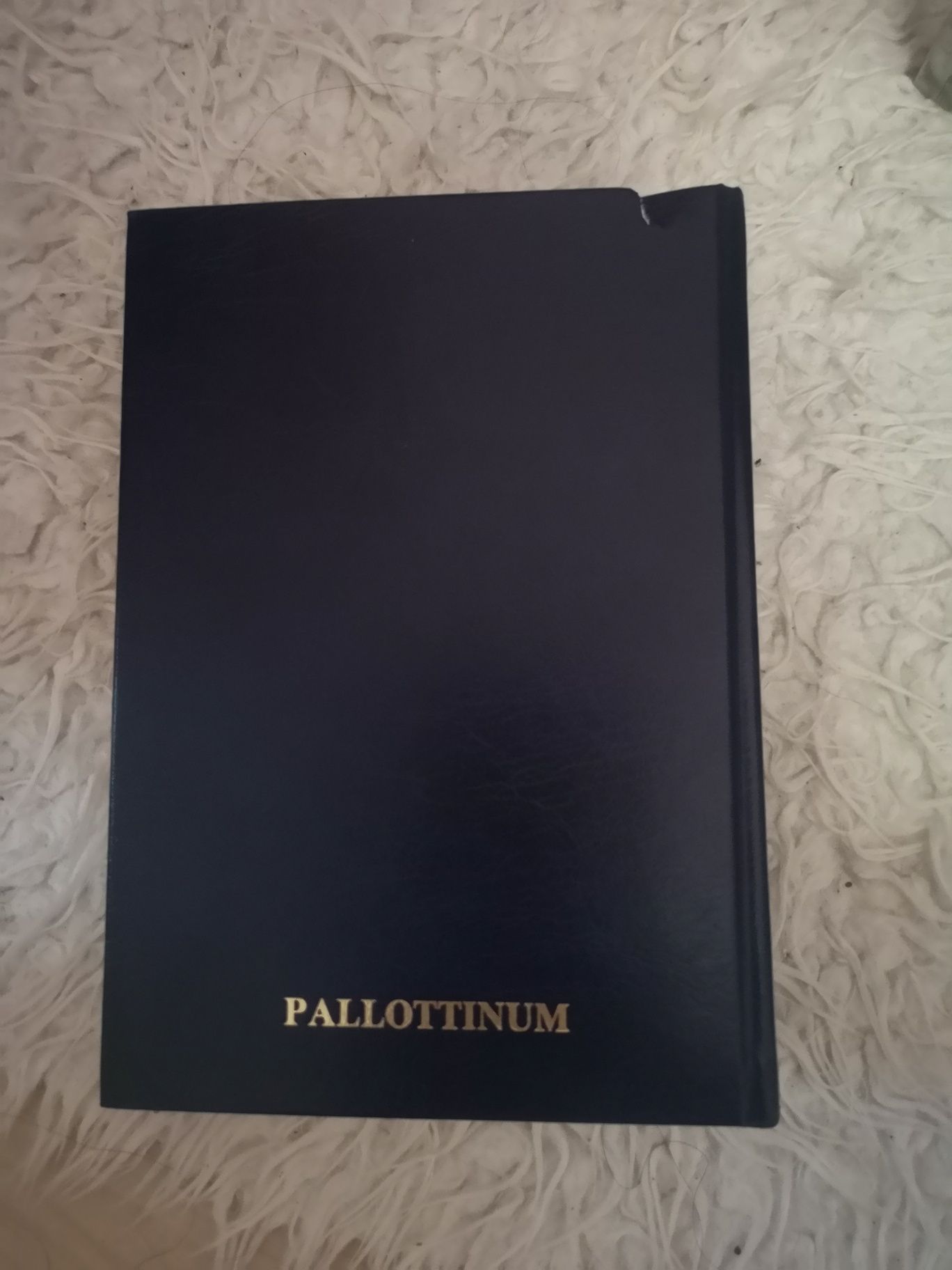 Pismo Święte Starego i Nowego Testamentu - twarda okładka PALLOTTINIUM