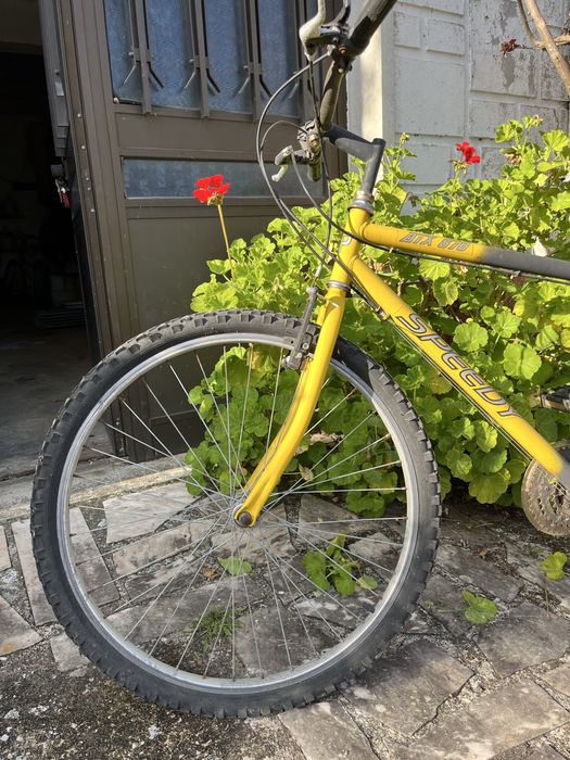 Bicicleta desportiva unisexo - estilo moderno