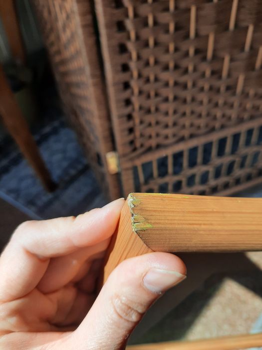 Obraz pastela pejzaż leśna droga las pole łąka w ramie drewnianej vint