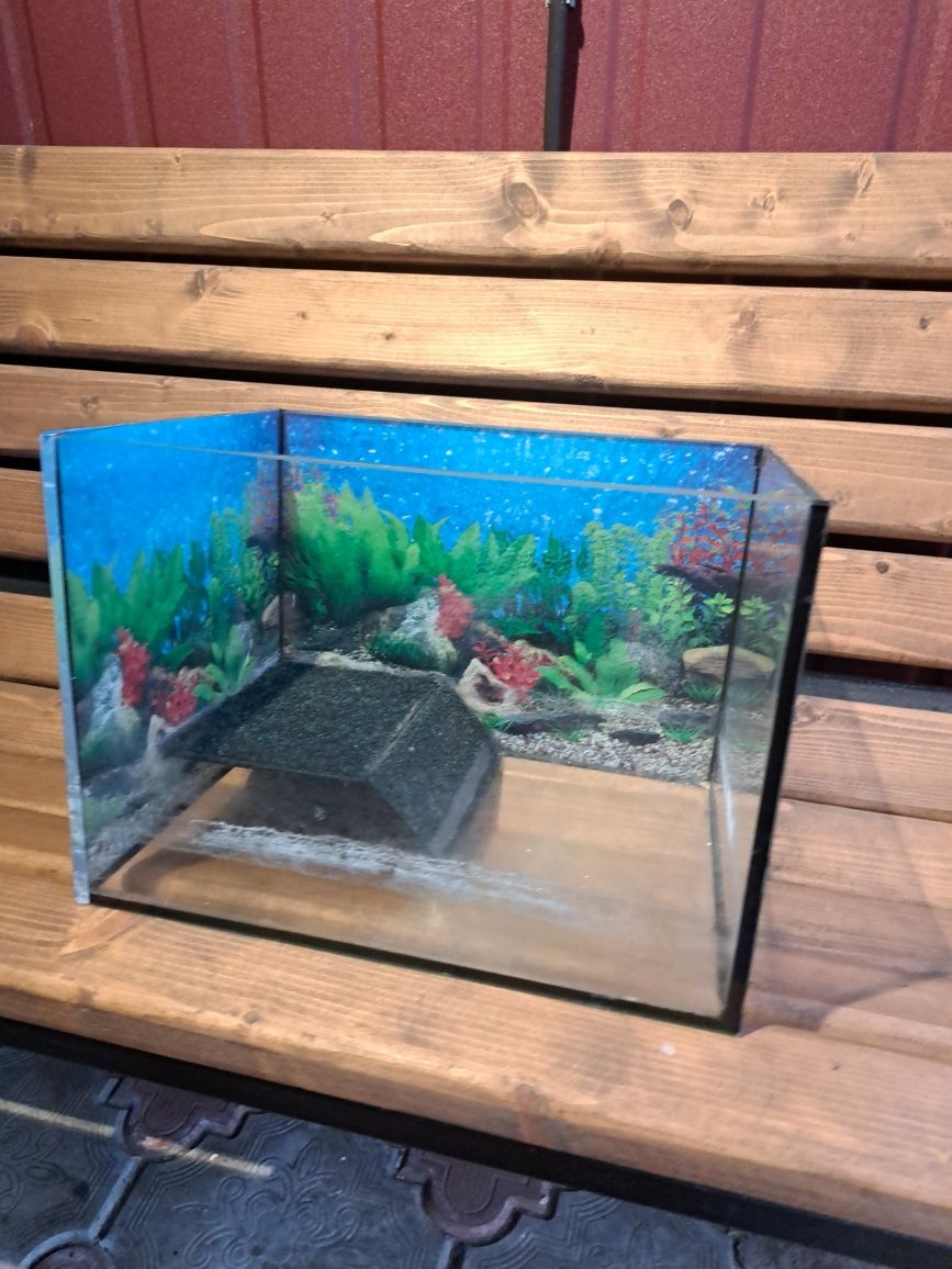 акваріум  для черепахи рептилій