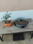 Forno para Pizza